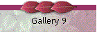 Gallery 9