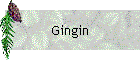 Gingin