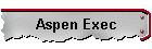 Aspen Exec