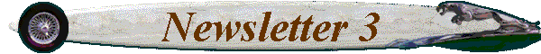 Newsletter 3