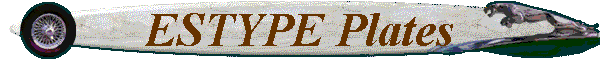 ESTYPE Plates